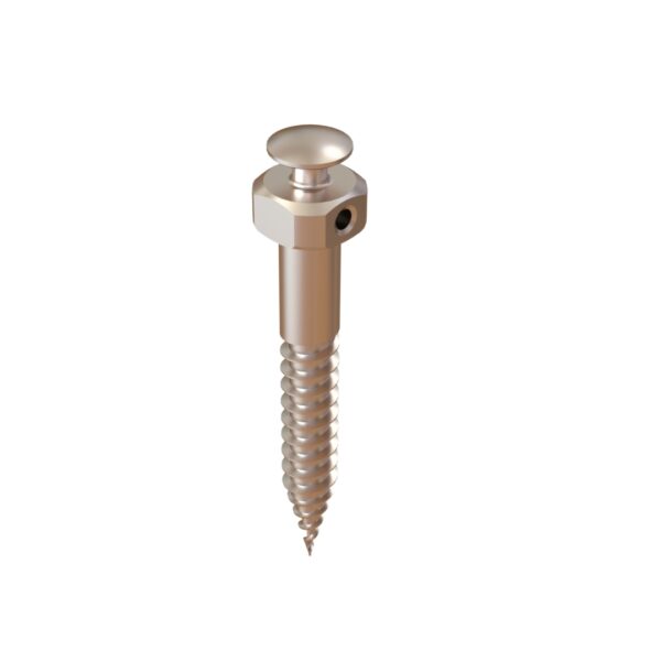 MINI IMPLANTES EXCALIBUR - Imagen 1