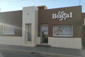 Bucal Servicios Odontologicos