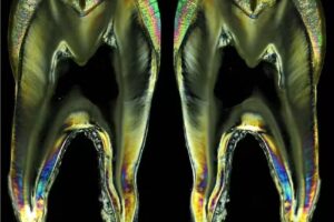 Consultorio Dental (Odontóloga Griselda M. Monzón)