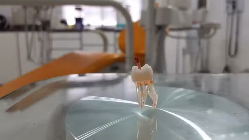 Consultorio odontologico GaonaDent Berazategui