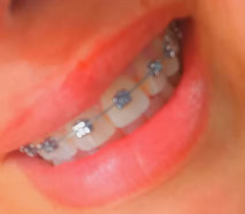 Consultorios Odontol&oacute;gicos Bosch//Garay/Harter