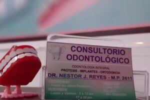 Dr. Nestor Reyes Odontologo
