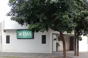 EMAsters odontolog&iacute;a