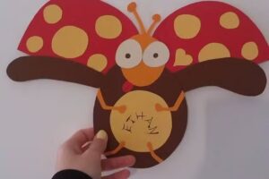 Estética Dental e Implantes