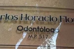 Flores Carlos Horacio