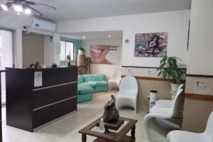 GM Odontolog&iacute;a