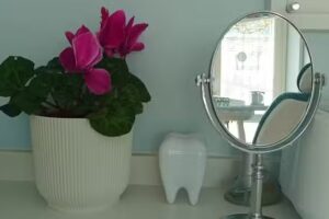 Od. Sabrina V. Passiuco &ndash; Consultorio Odontol&oacute;gico