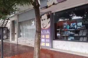 Odont&oacute;loga Cecilia Alfonso