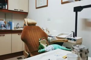 Odont&oacute;loga Laura Viviani