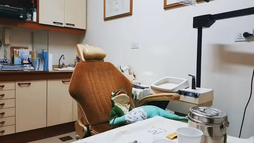 Odont&oacute;loga Laura Viviani