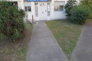 ODONTOLOGIA FAMILIAR, PERINATAL y del INFANTE Graciela Schlaen