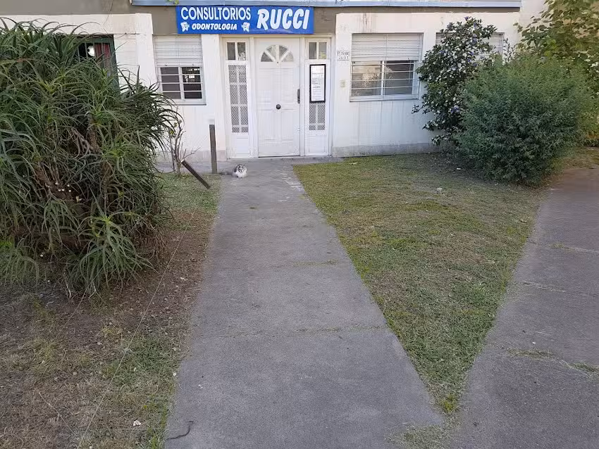 ODONTOLOGIA FAMILIAR, PERINATAL y del INFANTE Graciela Schlaen