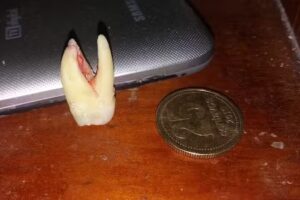 Odontolog&iacute;a Integral &ldquo;San Jos&eacute;&rdquo;