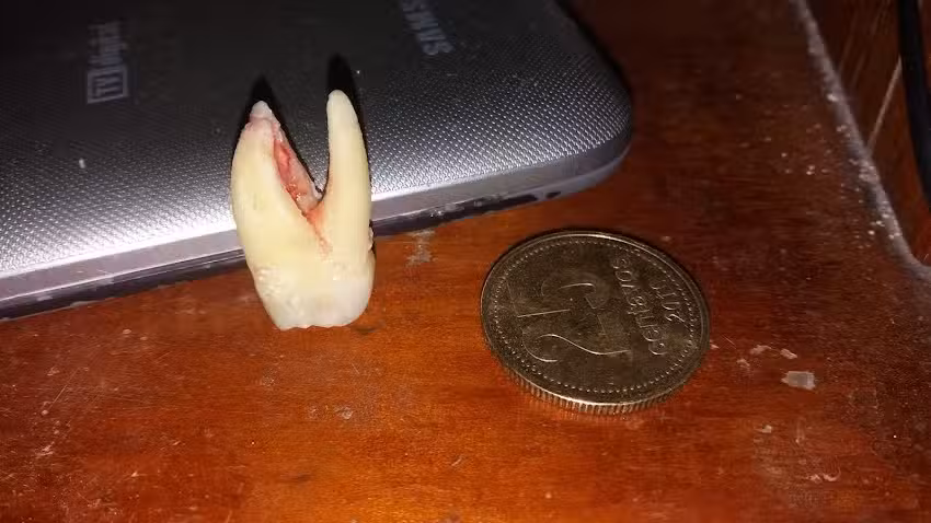 Odontolog&iacute;a Integral &ldquo;San Jos&eacute;&rdquo;