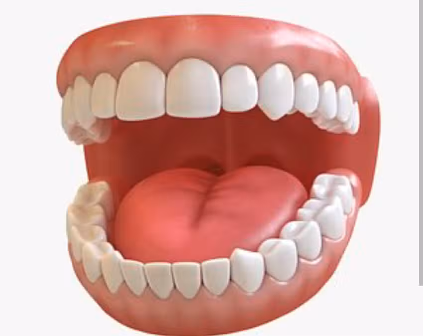 ODONTOLOGIA JORGELINA MAMANI