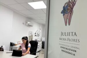 Odontolog&iacute;a Julieta Mora Flores