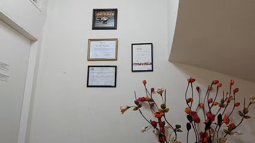 Odontolog&iacute;a osde