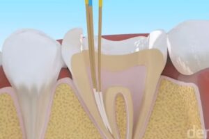 Odontologia – Sandra Cantarutti