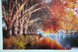 Rayodent Centro Integral de Radiolog&iacute;a Dental