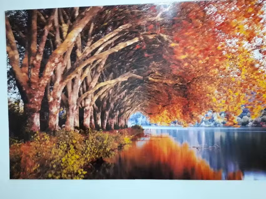 Rayodent Centro Integral de Radiolog&iacute;a Dental