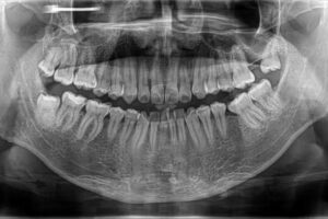 Salud y Estetica Dental